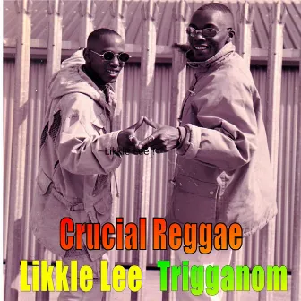 Crucial Reggae by Harris Seaton