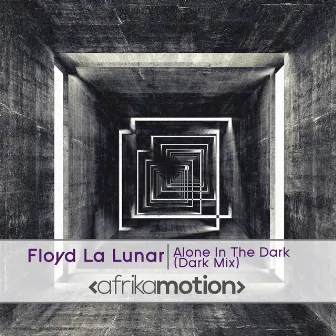 Alone in the Dark by Floyd La Lunar