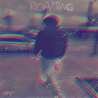 ROAMING by LFT