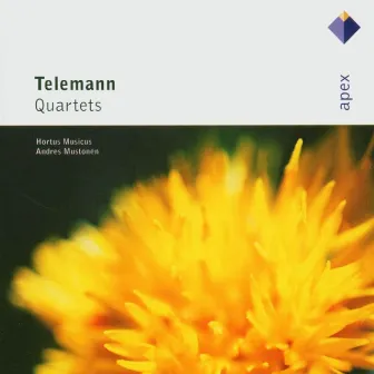 Apex: Telemann Quartets / Hortus Musicus by Apex