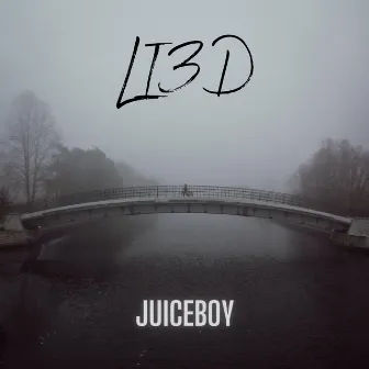 LI3D by Juiceboy