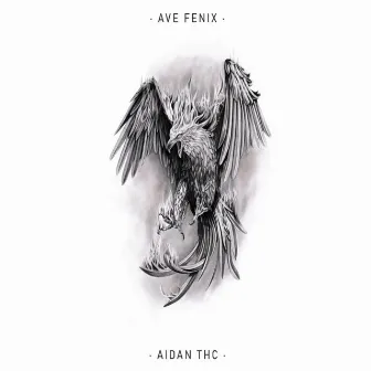 Ave Fenix by Unknown Artist