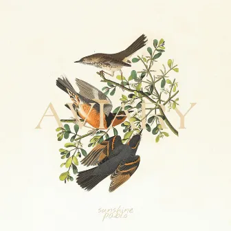 Aviary by Unknown Artist