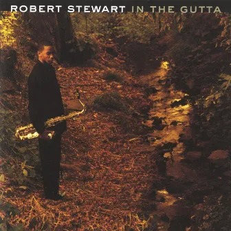 In The Gutta by Robert Stewart