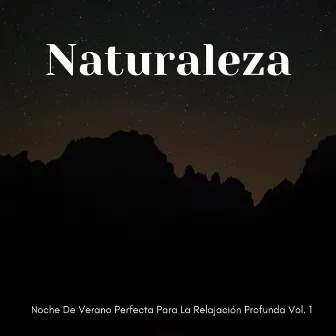 Naturaleza: Noche De Verano Perfecta Para La Relajación Profunda Vol. 1 by Sonido relajante para dormir