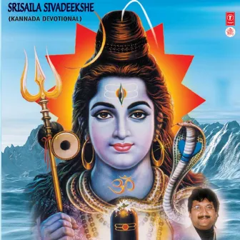 Srisaila Sivadeekshe by Muralidgar