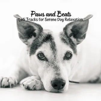 Paws and Beats: Lofi Tracks for Serene Dog Relaxation by Relax Radio 1