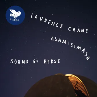 Sound of Horse by Laurence Crane