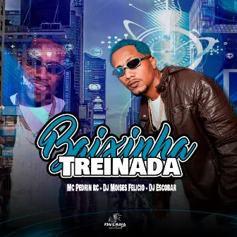 Baixinha Treinada by DJ MOISES FELICIO