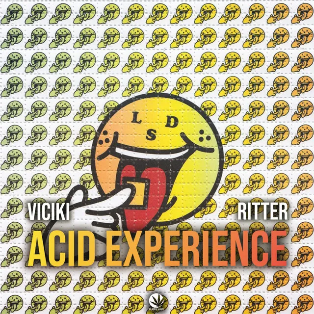 Acid Experience