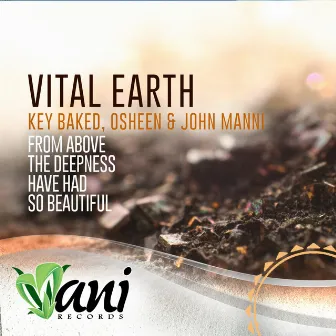 Vital Earth by John Manni