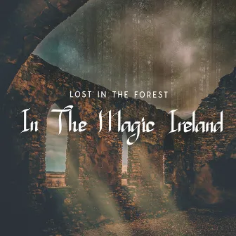 Lost IN The Forest In The Magic Ireland by Love For Green