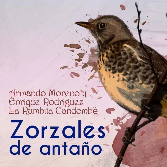 Zorzales de Antaño - Armando Moreno y Enrique Rodriguez - La Rumbita Candombé by Orquesta Enrique Rodriguez