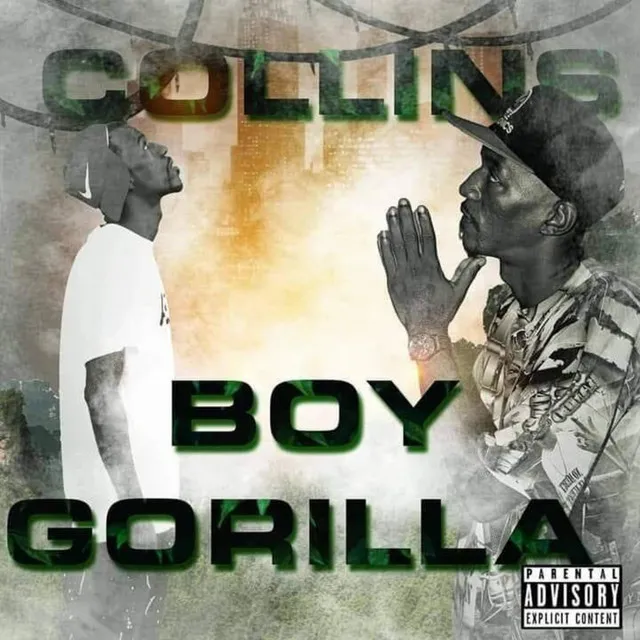 COLLINS BOY GORILLA