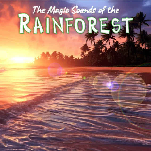 The Magic Sounds of the Rainforest