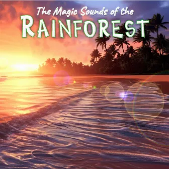 The Magic Sounds of the Rainforest by Calming Rainforest Sounds