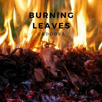 Burning Leaves by Gadoora