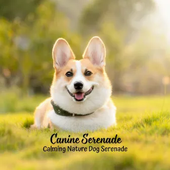 Canine Serenade: Calming Nature Dog Serenade by Wonderful Escape