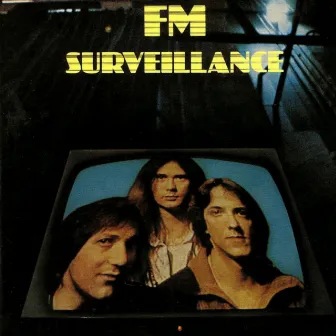 Surveillance by FM