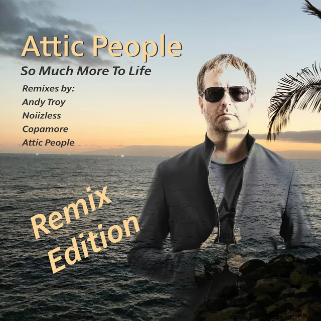 So Much More to Life - Andy Troy Remix