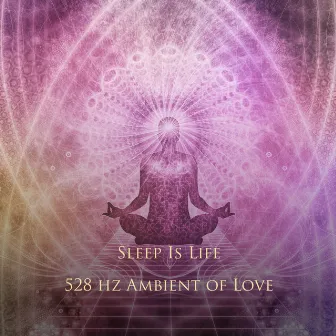 528 Hz Ambient of Love by Sleep is Life