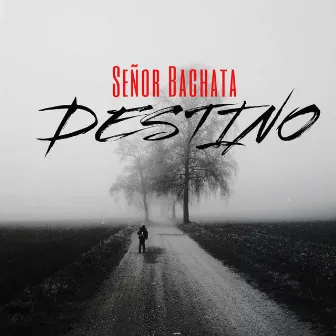 Destino by Senor Bachata