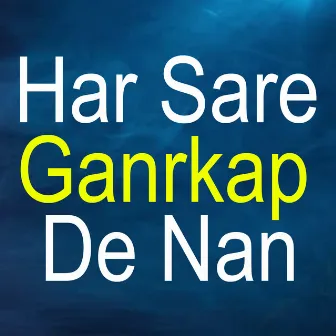 Har Sare Ganrkap De Nan by Faisal Khayal