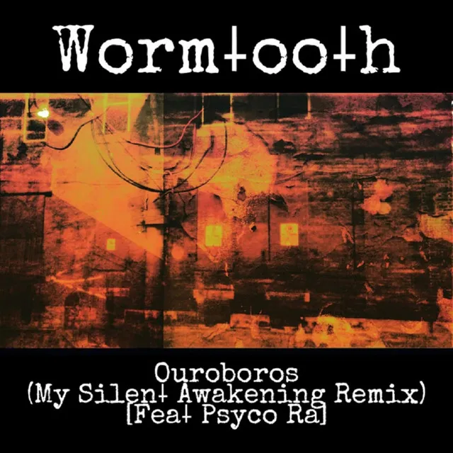 Ouroboros (My Silent Awakening Remix)