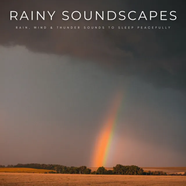 Rainy Soundscapes: Rain, Wind & Thunder Sounds To Sleep Peacefully