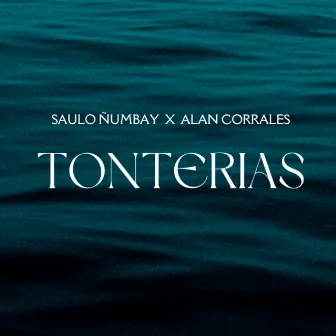 Tonterias by Saulo Ñumbay