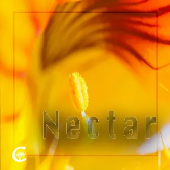 Nectar by Chillimi