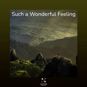 Such a Wonderful Feeling by Love Frequency