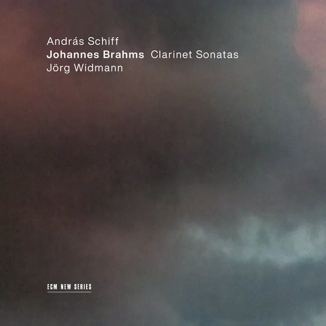 Sonata for Clarinet and Piano No. 2 in E Flat Major, Op. 120 No. 2: 3. Andante con moto - Allegro