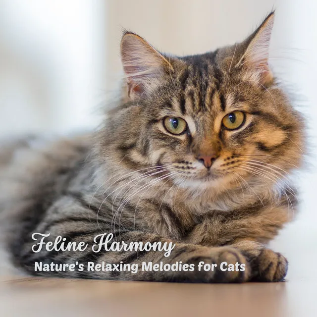 Feline Harmony: Nature's Relaxing Melodies for Cats