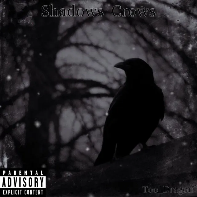 Shadows Crows