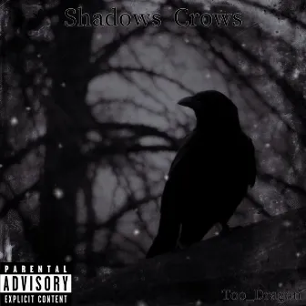 Shadows Crows by Too_Dragon