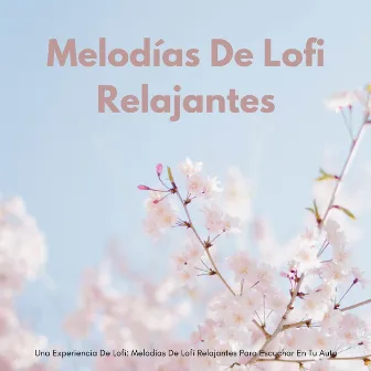 Una Experiencia De Lofi: Melodías De Lofi Relajantes Para Escuchar En Tu Auto by El principio de relajación