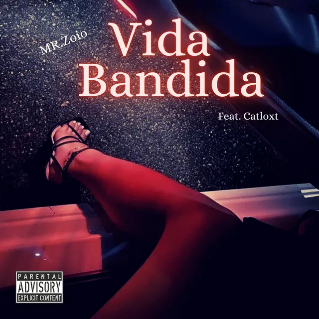 Vida Bandida