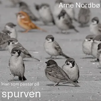 Han som passar på spurven by Arne Nordbø