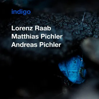 Indigo by Matthias Pichler