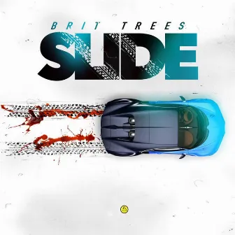 Slide by Brit Trees