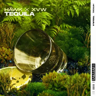 Tequila by Max Niklas