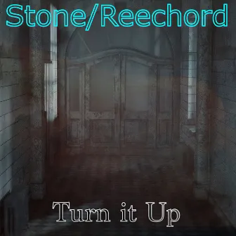 Turn It Up by Stone/Reechord