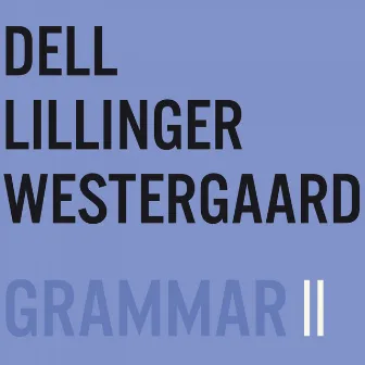 Grammar II by Christian Lillinger