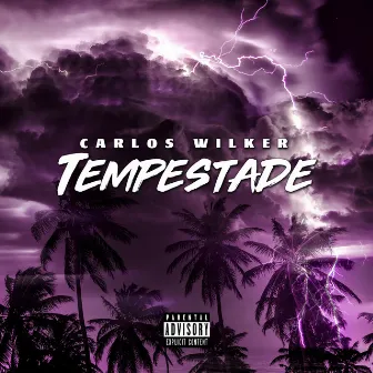 Tempestade by Carlos Wilker