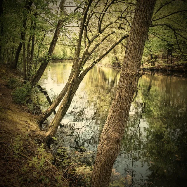 By The River