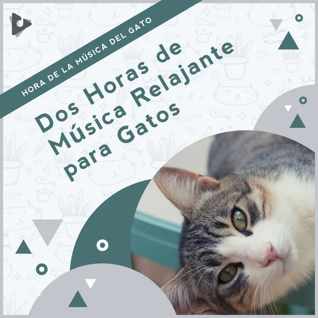 2 Horas de Música Relajante para Gatos