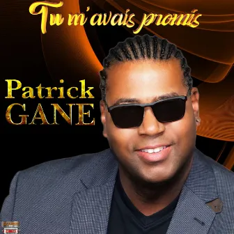 Tu m'avais promis by Patrick Gane