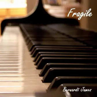 Fragile by Bernardt James