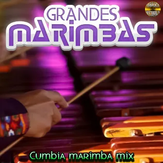 Cumbia Marimba Mix by Marimba